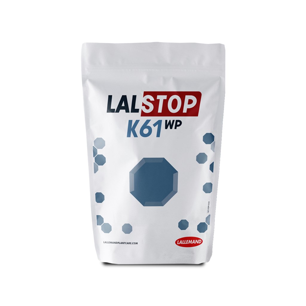 LALSTOP K61 BATTERI STREPTOMYCES GR.100
